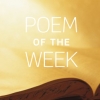 POTW258.jpg