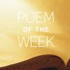 POTW258_1.jpeg