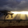 africa_list3.jpg