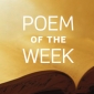 POTW258.jpg