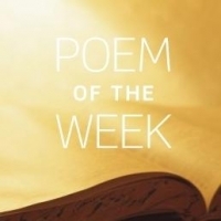 Poems of the Week: 2017–2018 | Narrative Magazine