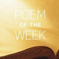 Poems of the Week: 2025